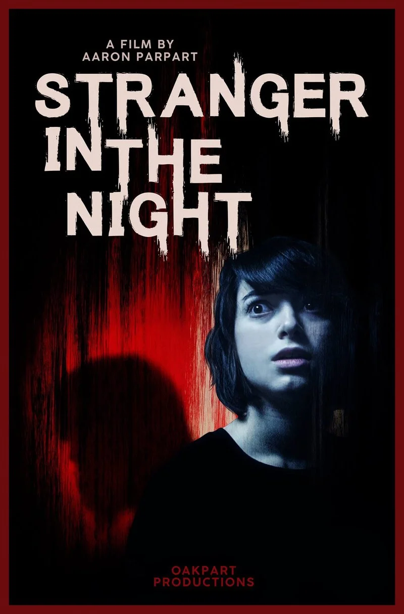 Affiche de Stranger in the Night