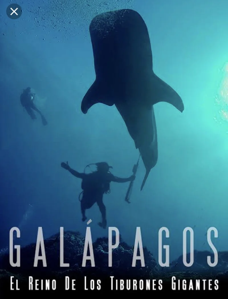 Affiche de Galápagos Le Royaume des Requins Géants