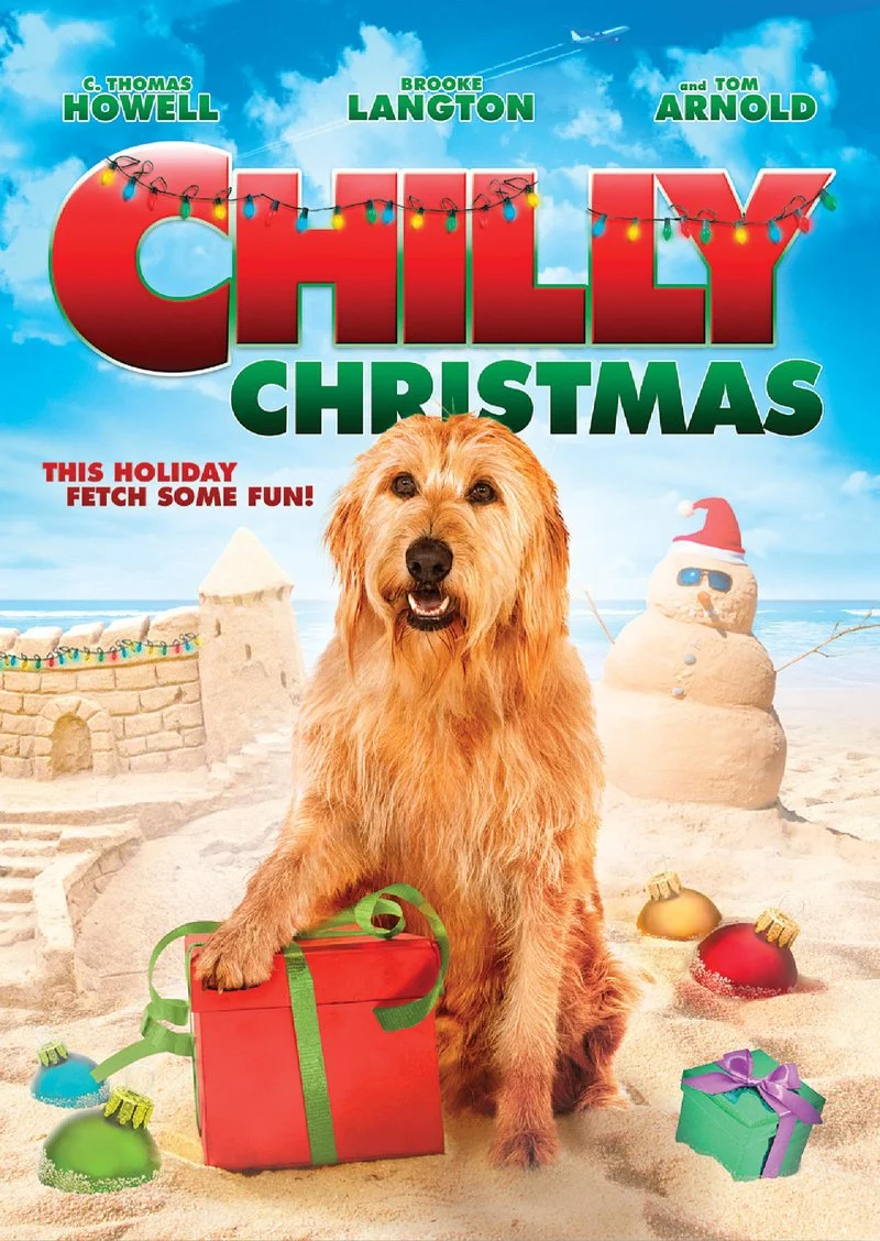 Affiche de Chilly le Chien Catastrophe