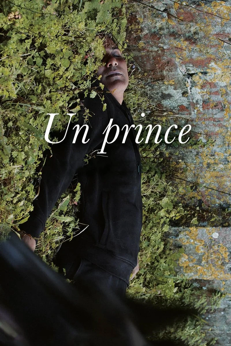 Affiche de Un Prince