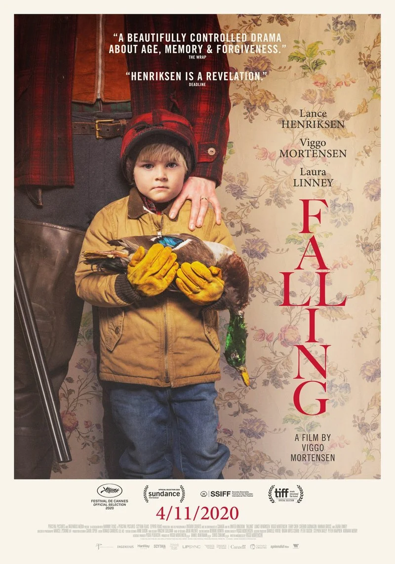 Affiche de Falling