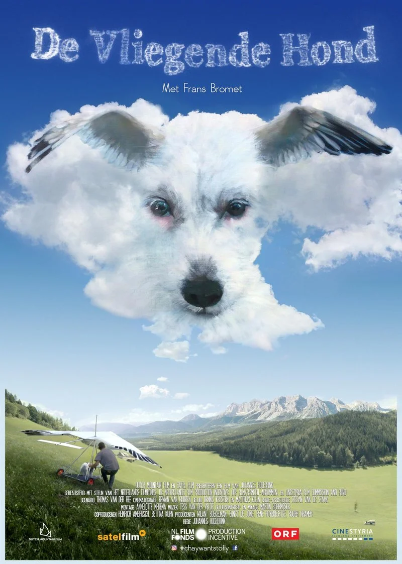 Poster van The Flying Dog