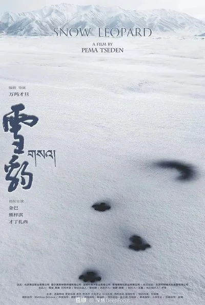 Poster Snow Leopard