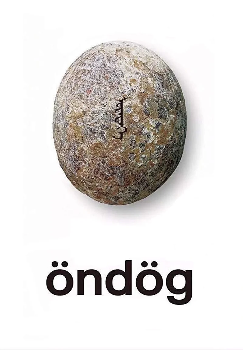 Affiche de Öndög