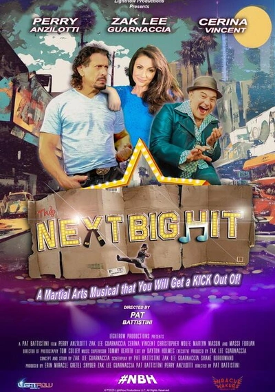 Affiche The Next Big Hit