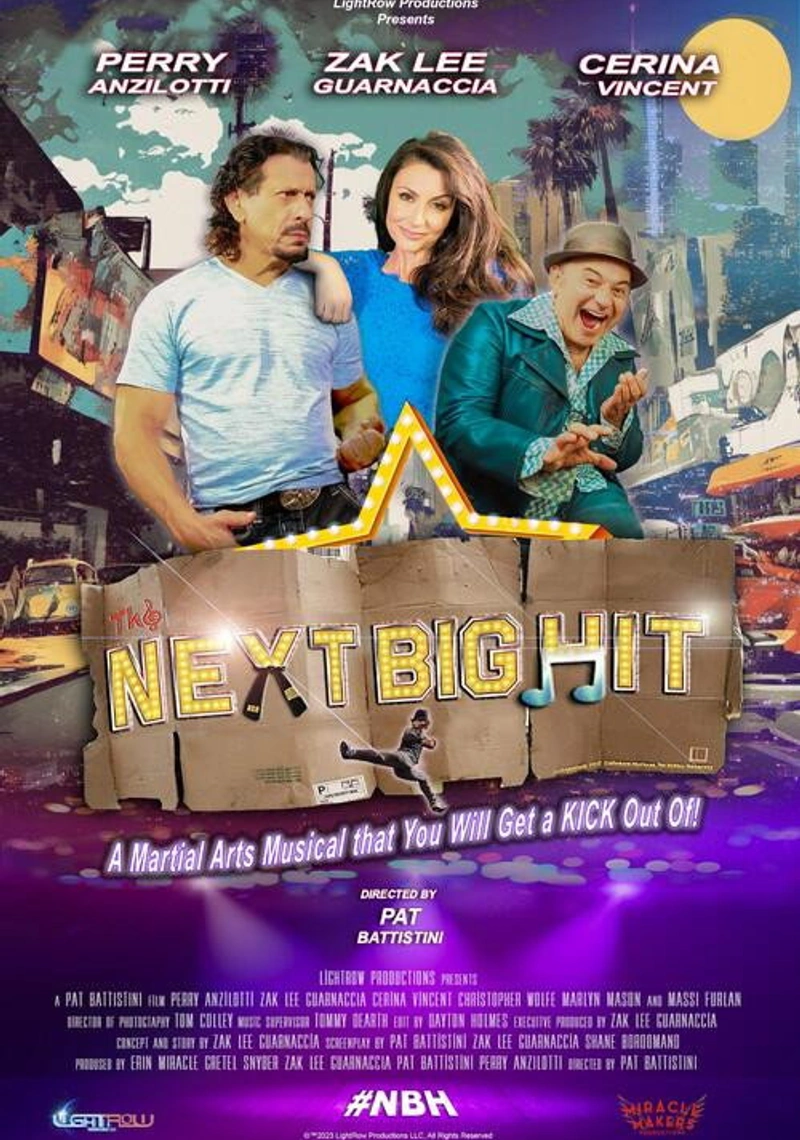 Affiche de The Next Big Hit