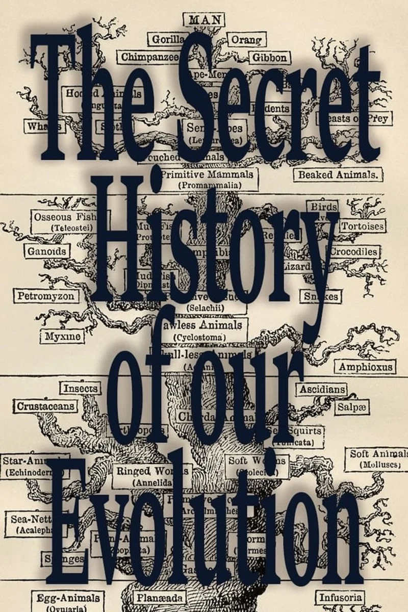 Poster van L'Histoire Secrète de notre Évolution