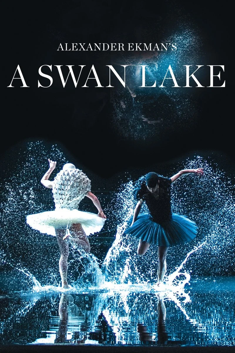 Affiche de A Swan Lake