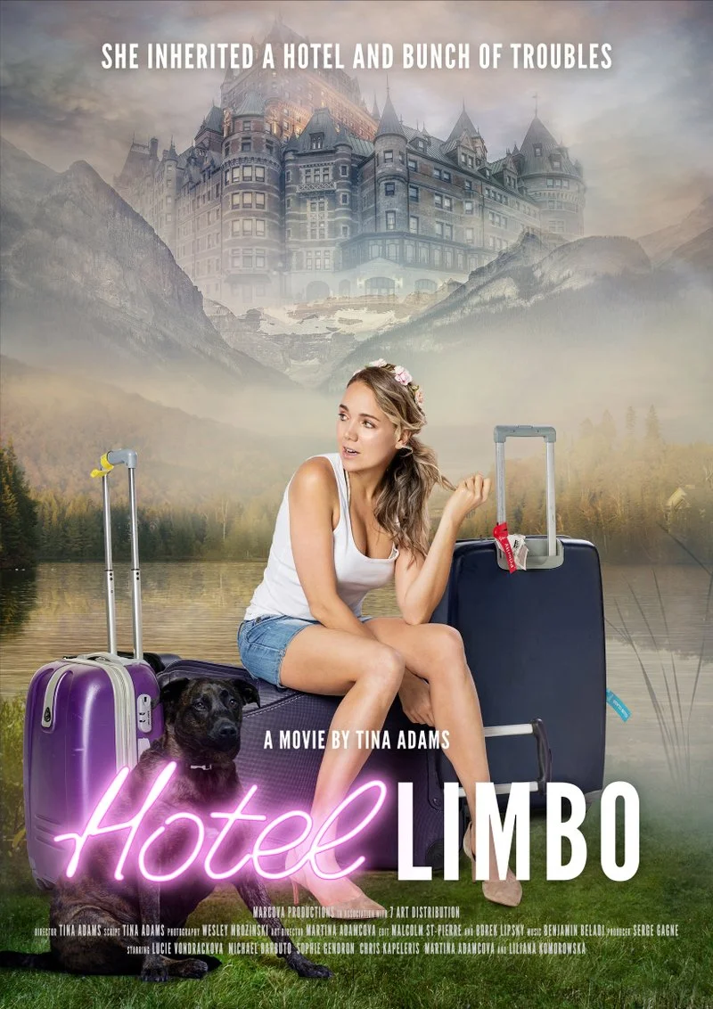 Affiche de Hotel Limbo