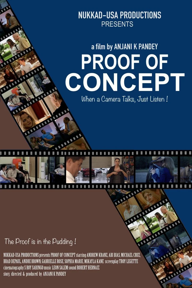 Affiche de Proof of Concept