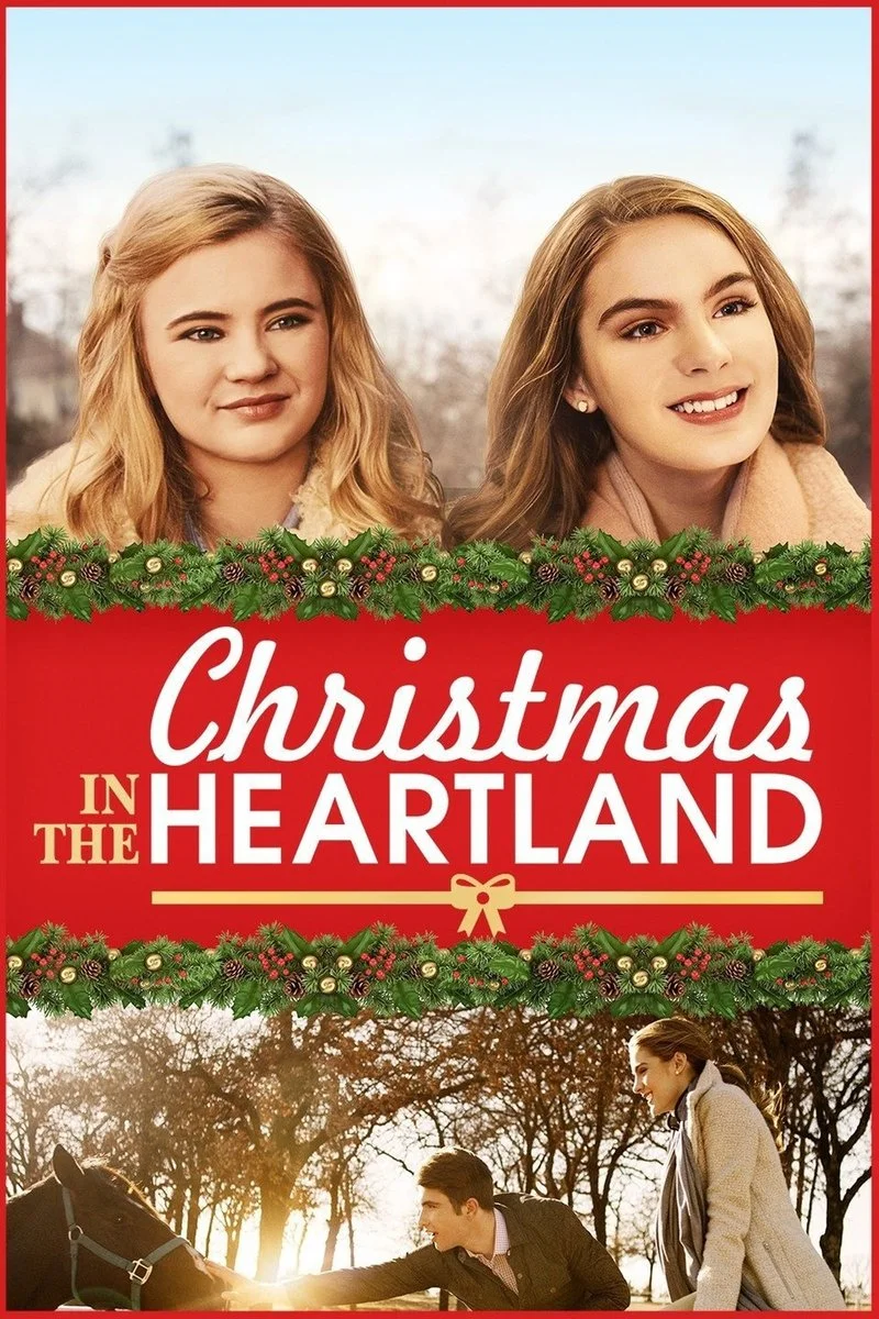 Affiche de On a échangé nos Noëls