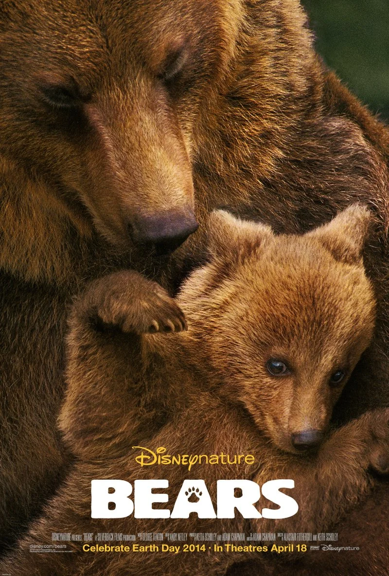 Poster van Bären