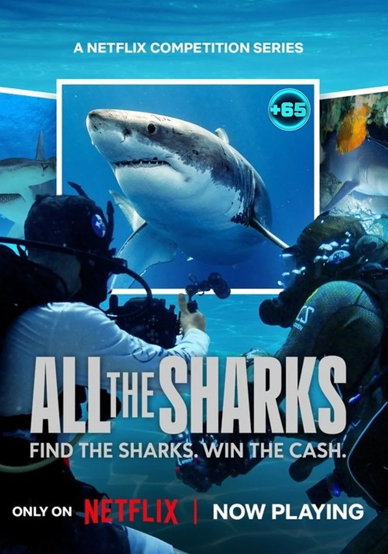 Affiche de All the Sharks