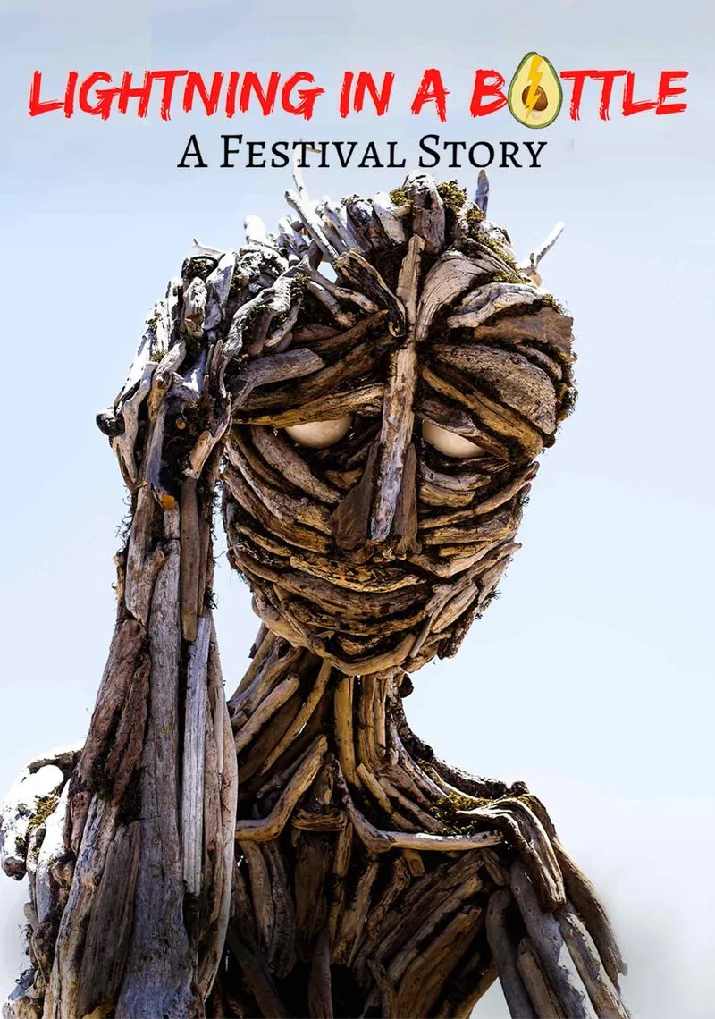 Poster van Lightning In A Bottle: A Festival Story