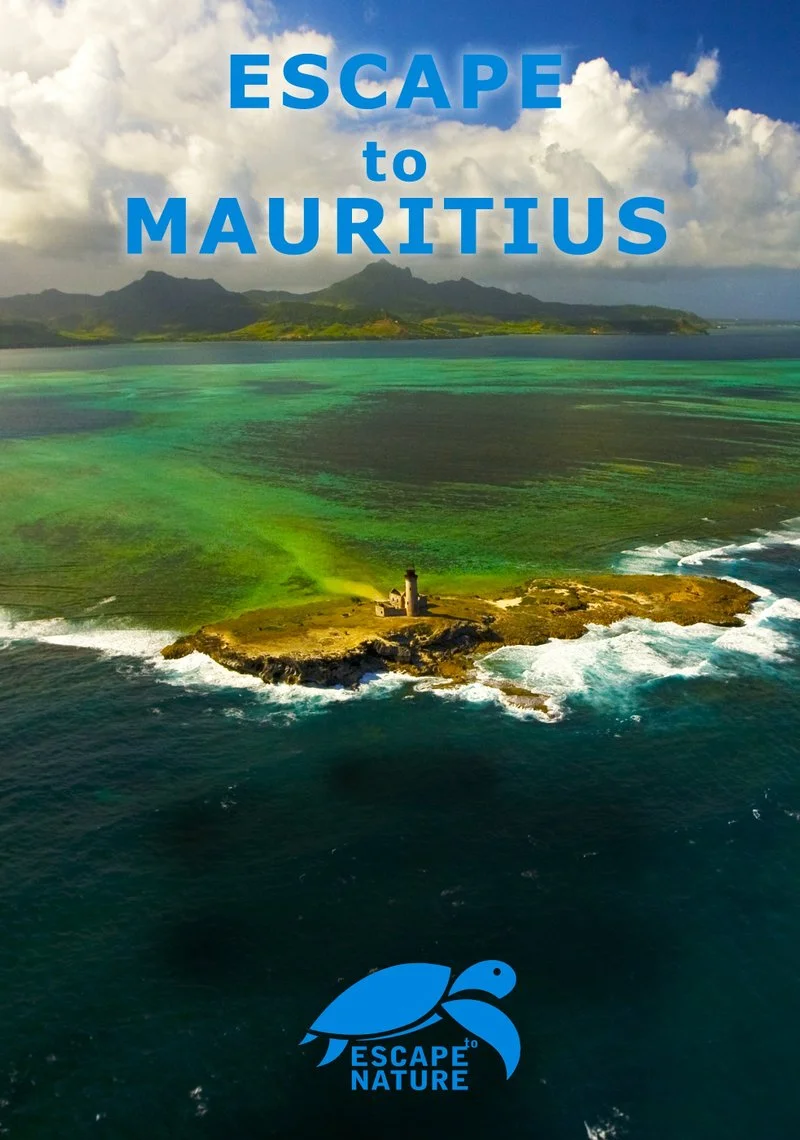 Poster van Escape to Mauritius