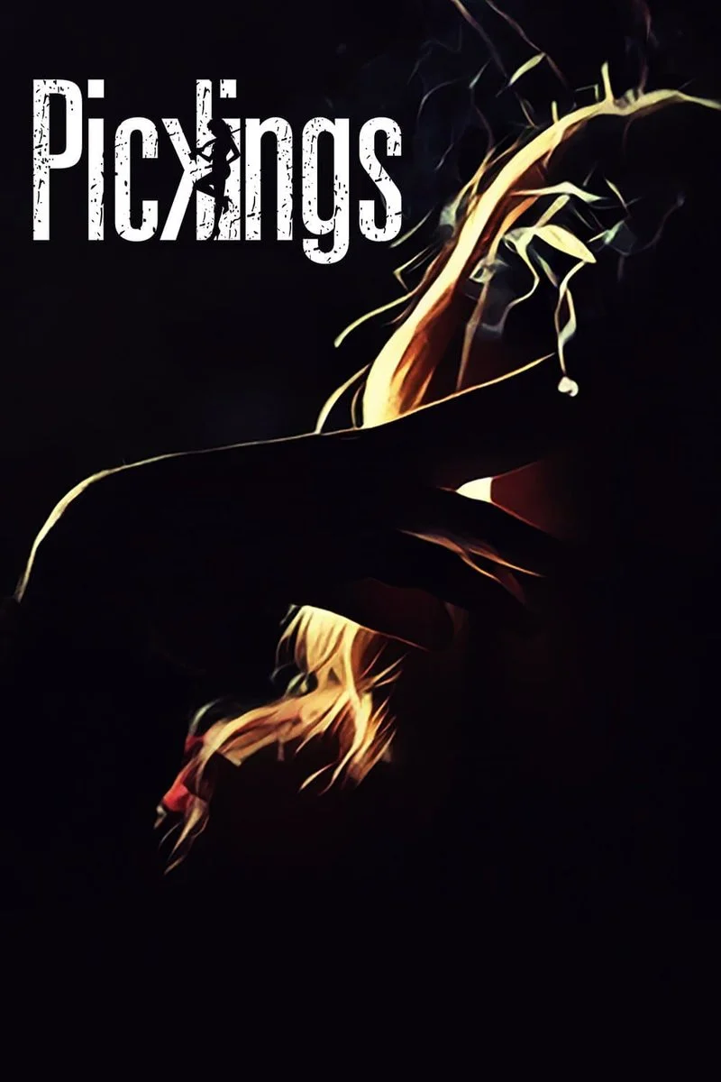 Affiche de Pickings