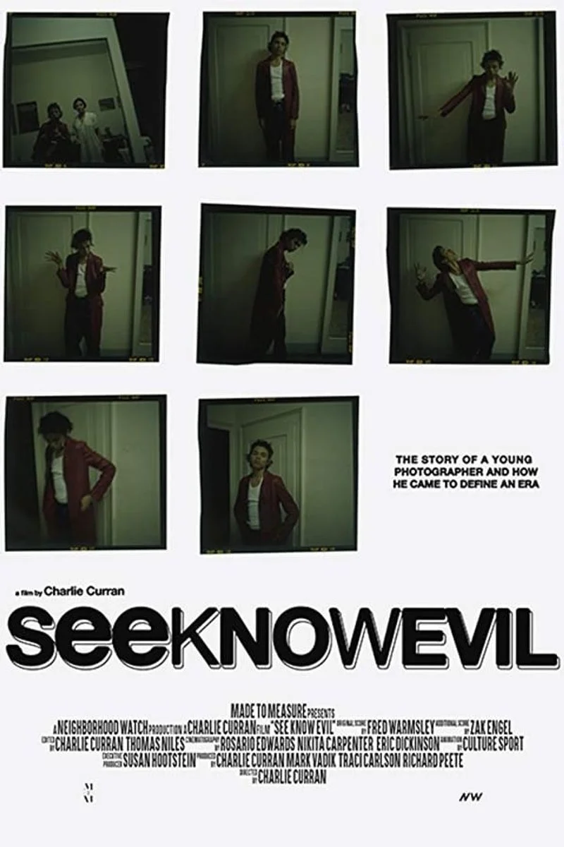 Affiche de See Know Evil