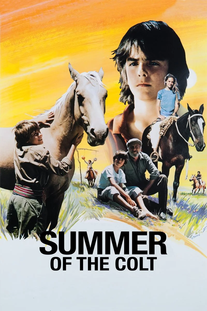 Affiche de Summer of the Colt