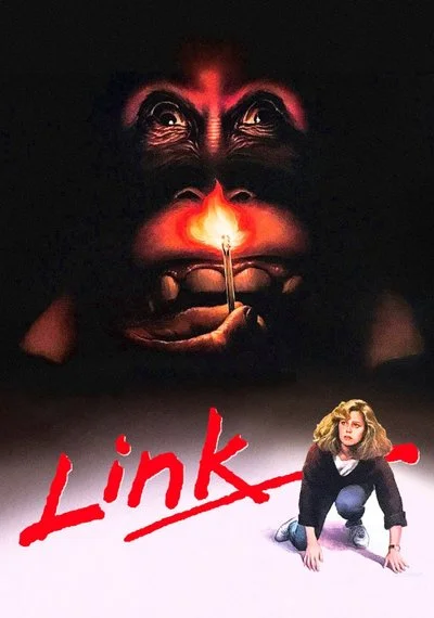 Poster Link