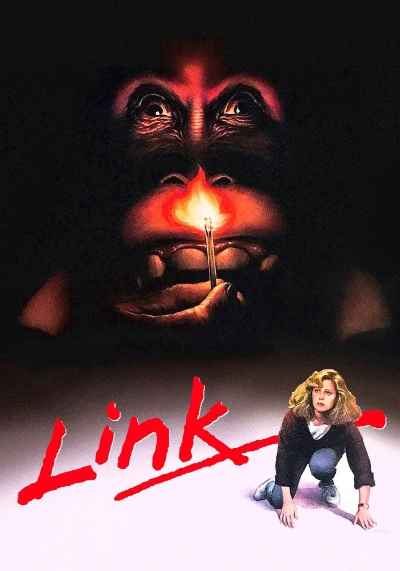 Poster van Link