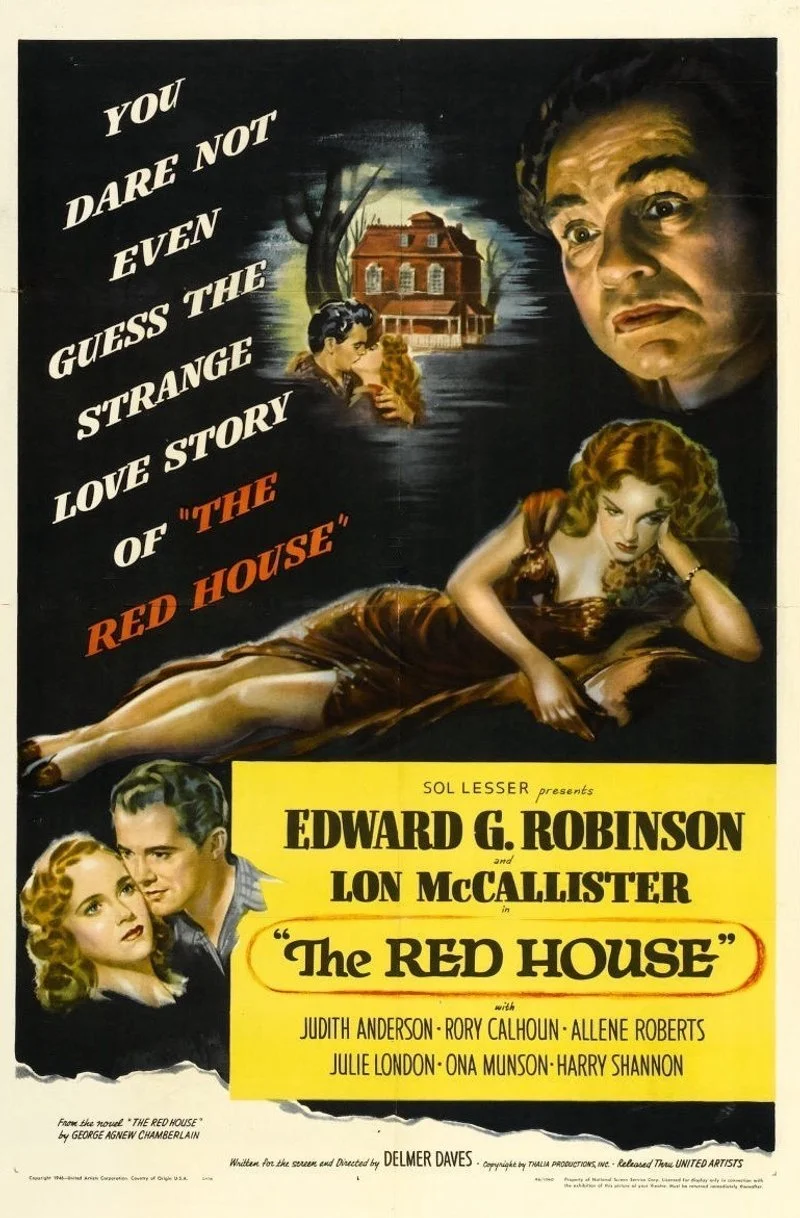Affiche de The Red House