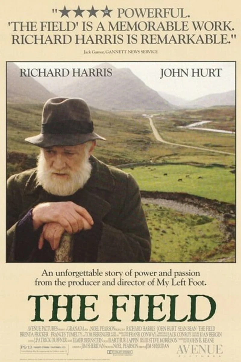 Affiche de The Field