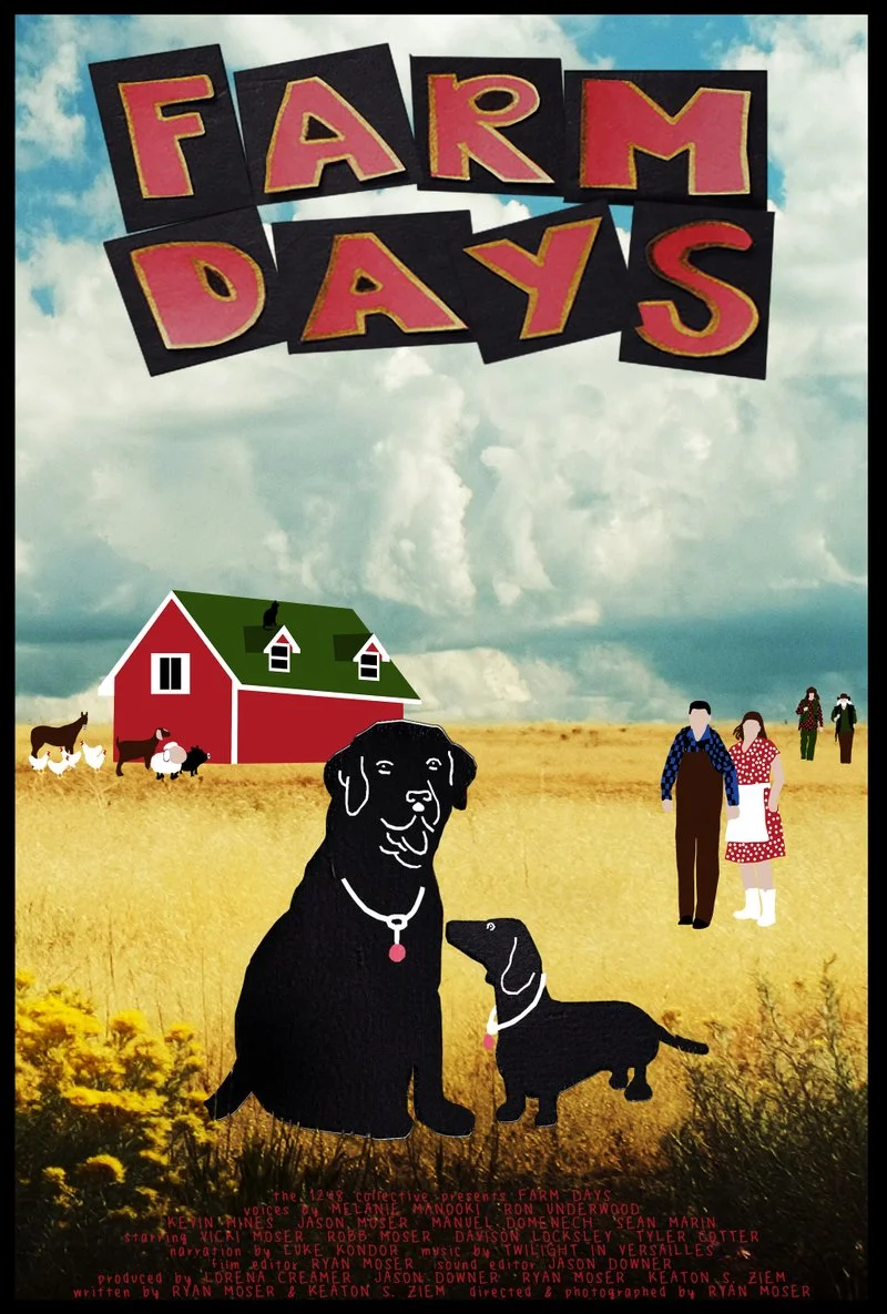 Affiche de Farm Days