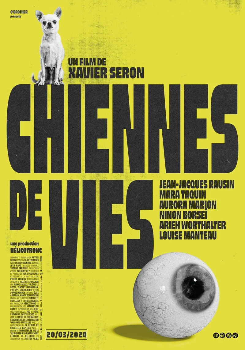 Affiche de Chiennes de vies