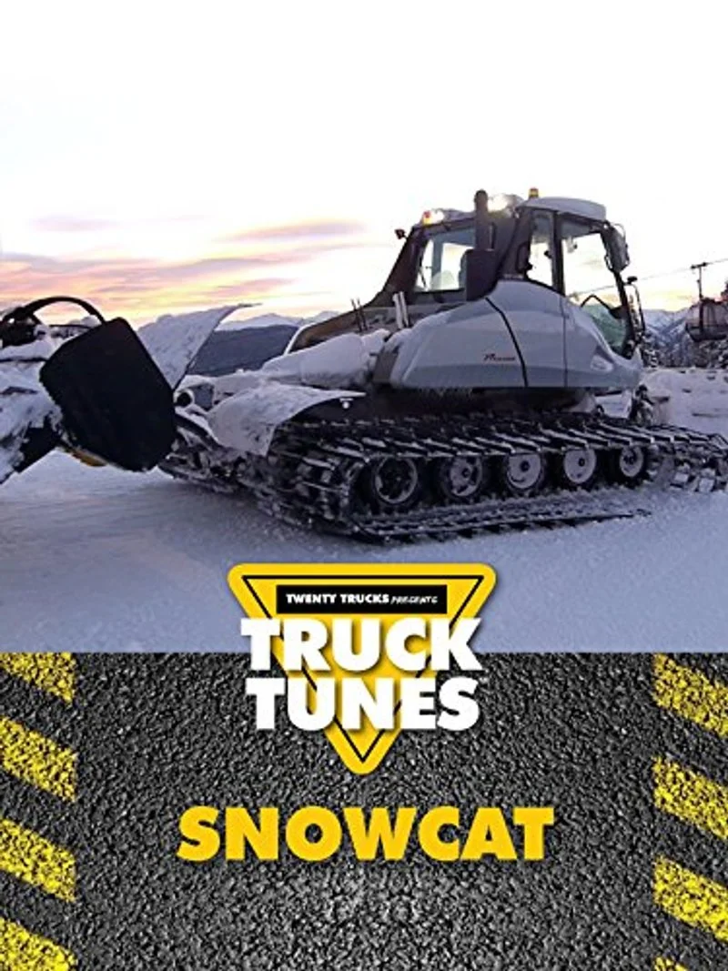 Poster van Le chat de neige