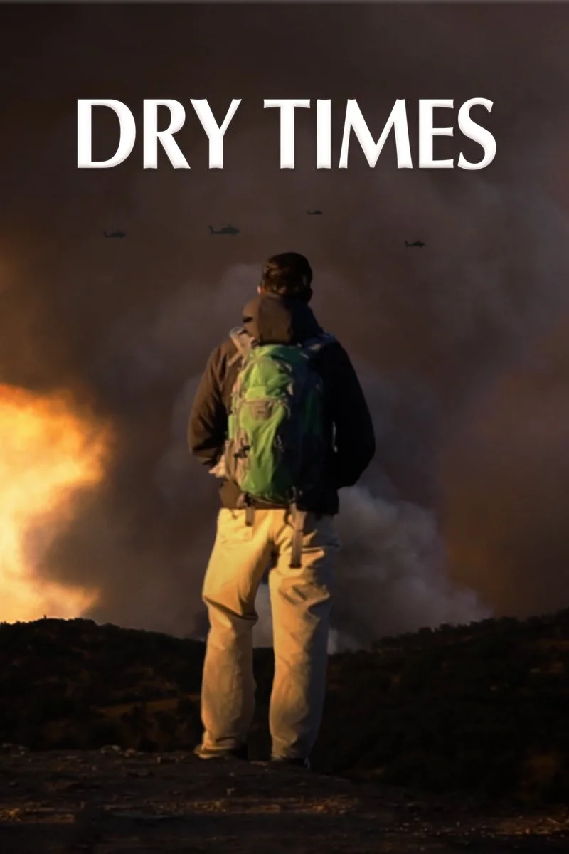 Poster van Dry Times