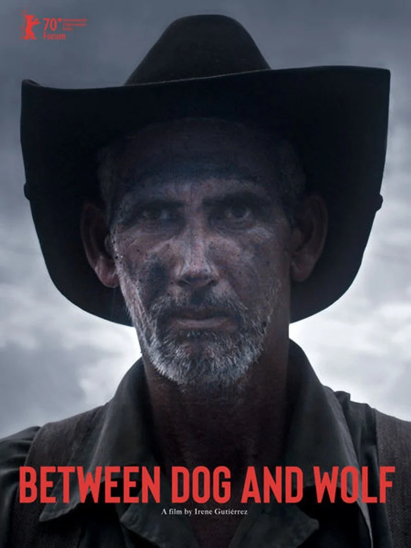 Affiche de Between Dog and Wolf