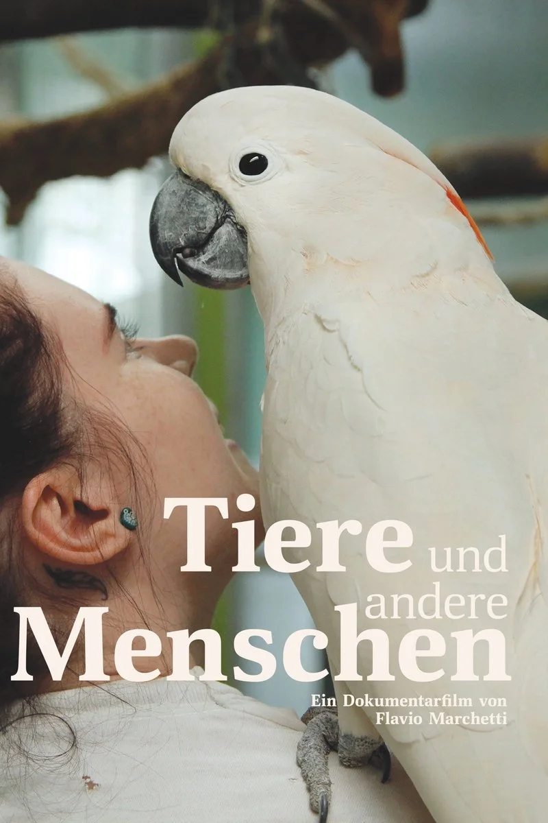 Affiche de Animaux et compagnie