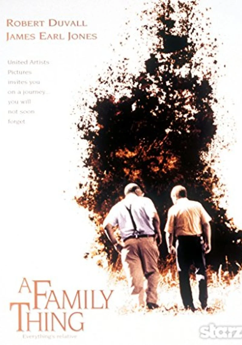 Poster van A Family Thing