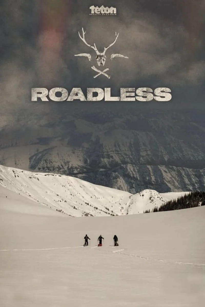 Affiche de Roadless