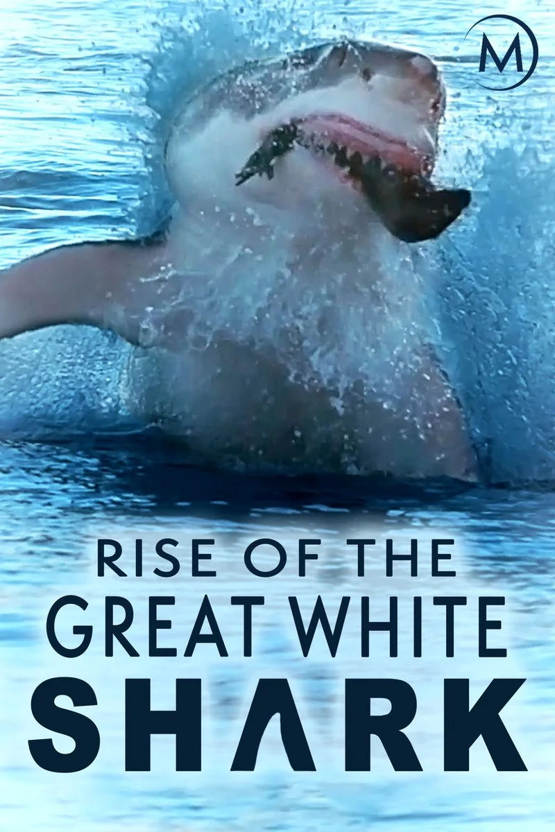 Affiche de Rise of the Great White Shark