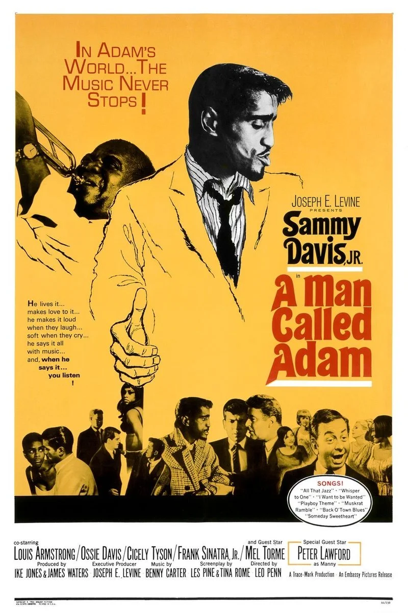 Affiche de A Man Called Adam