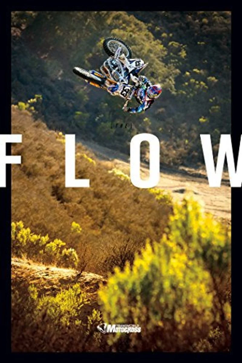 Poster van The Flow