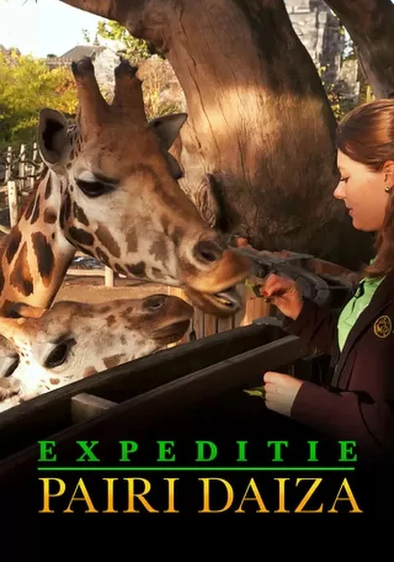 Poster van Expeditie Pairi Daiza