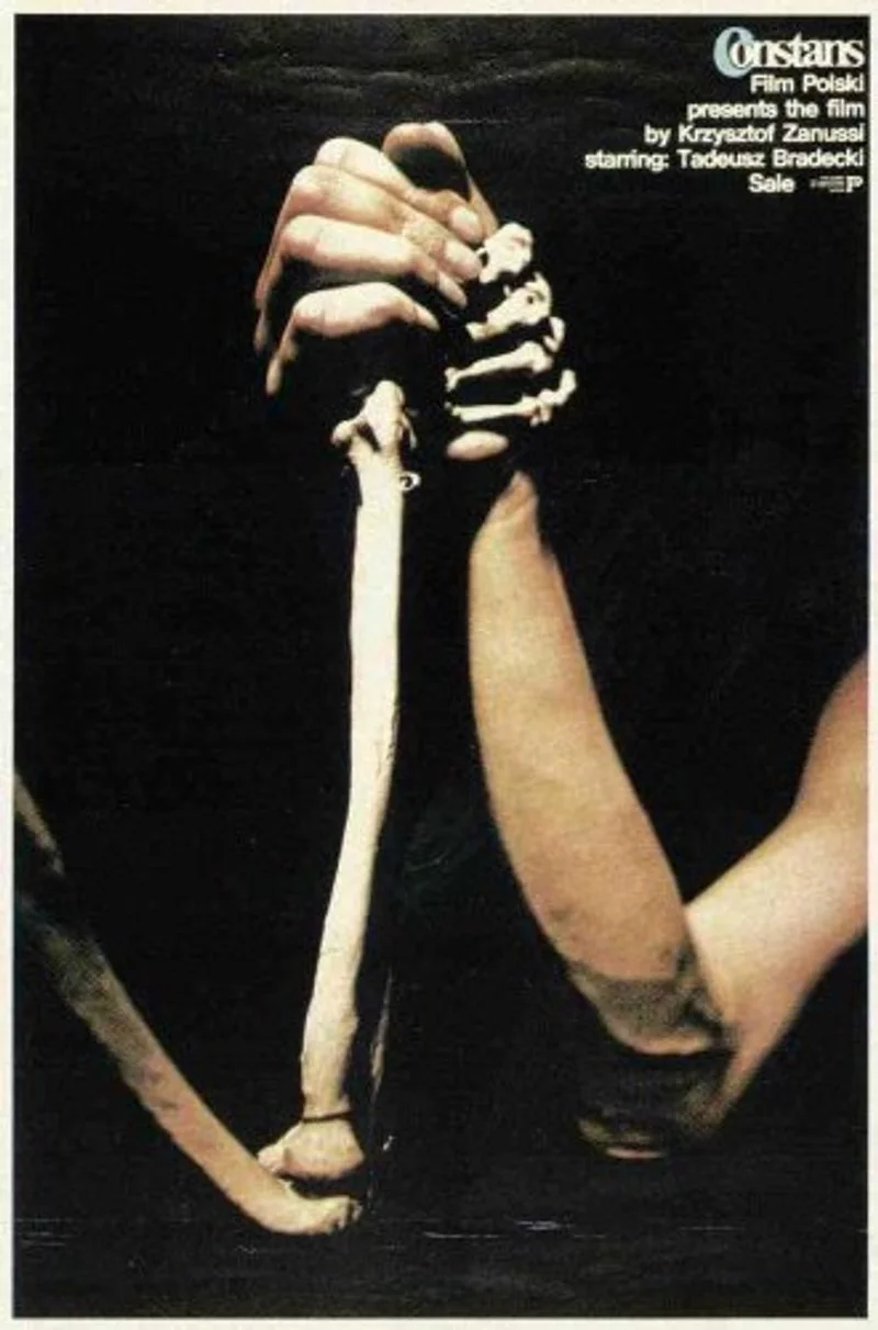 Poster van The Constant Factor