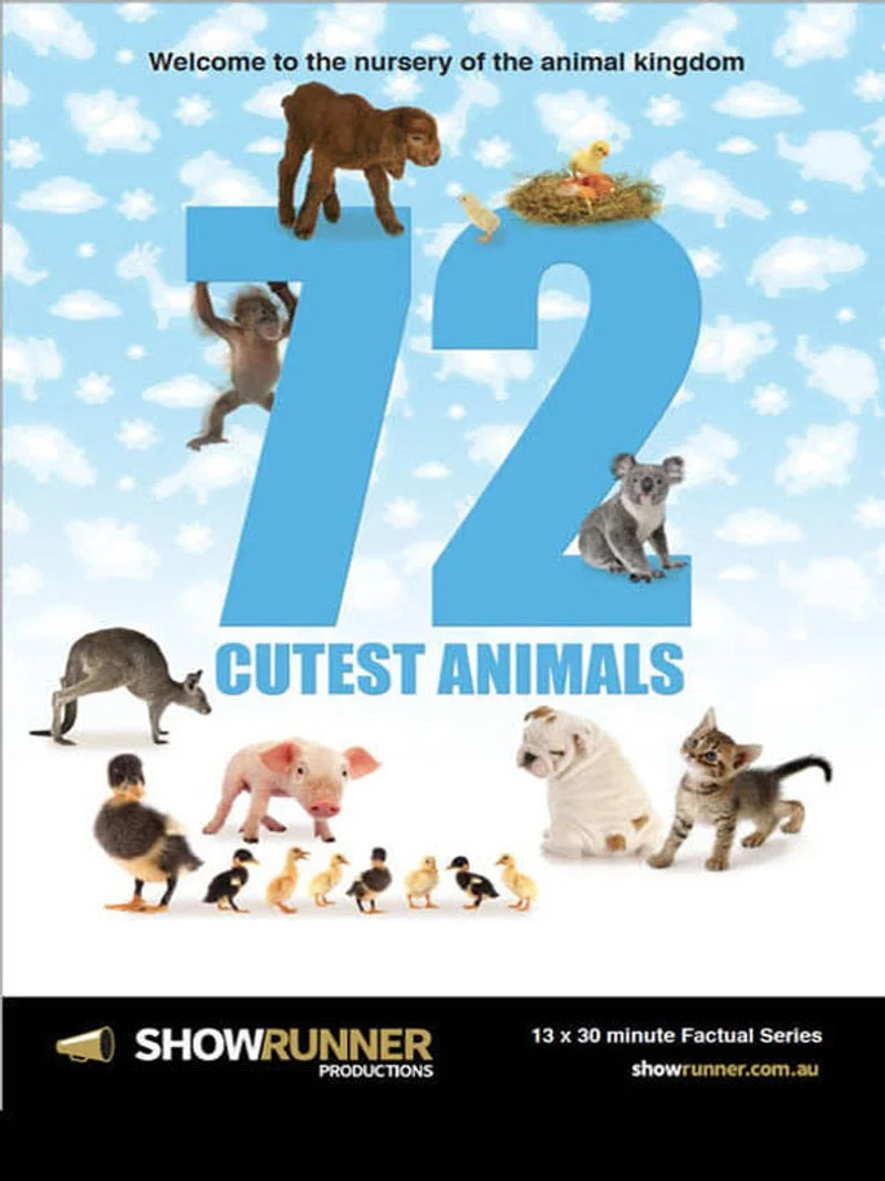 Affiche de 72 Cutest Animals