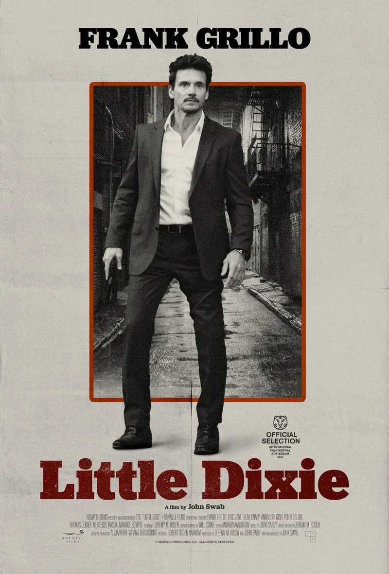 Affiche de Little Dixie