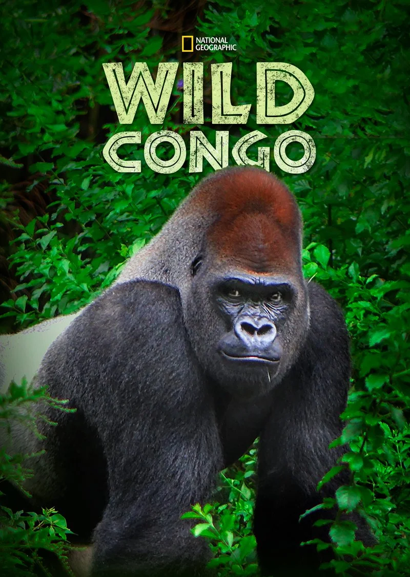 Poster van Wild Congo