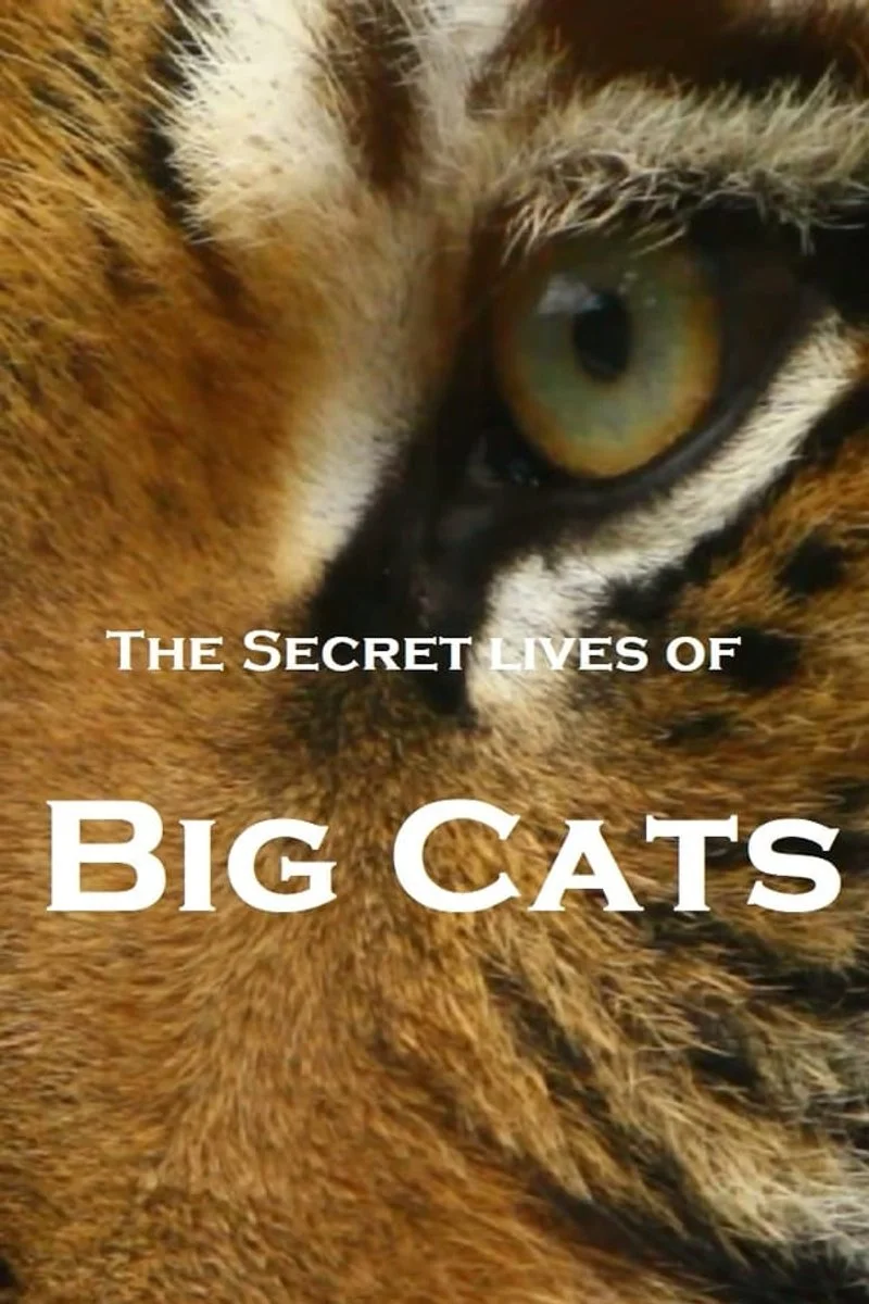 Poster van The Secret Lives Of Big Cats