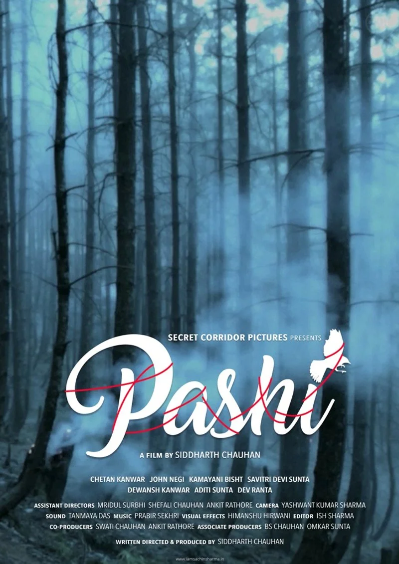 Affiche de Pashi