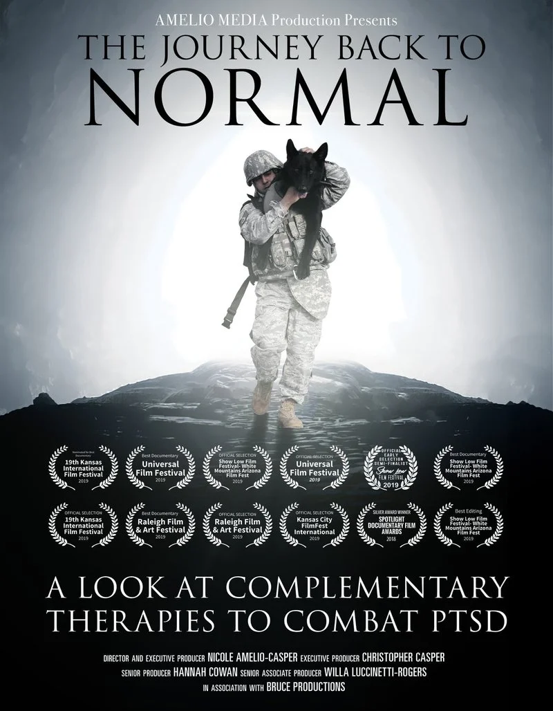 Poster van The Journey Back to Normal: A Look at Complementary Therapies to Combat PTSD