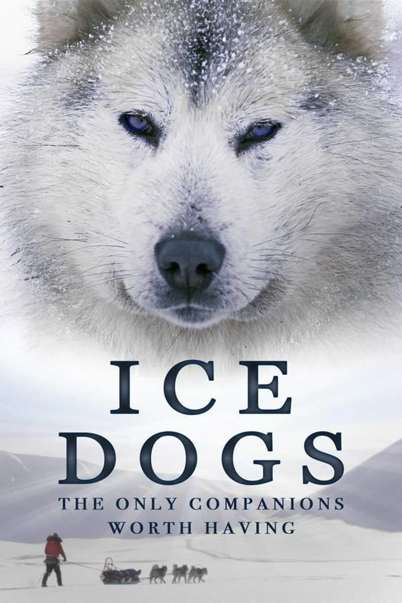 Affiche de Ice Dogs: The Only Companions Worth Having