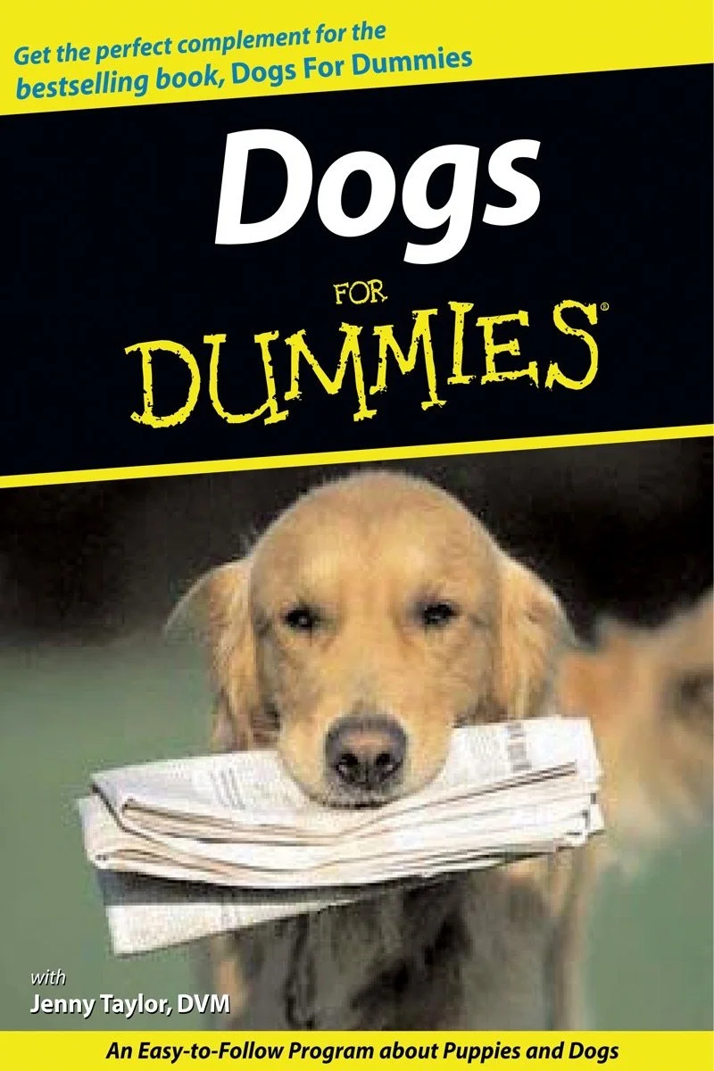 Affiche de Dogs for Dummies
