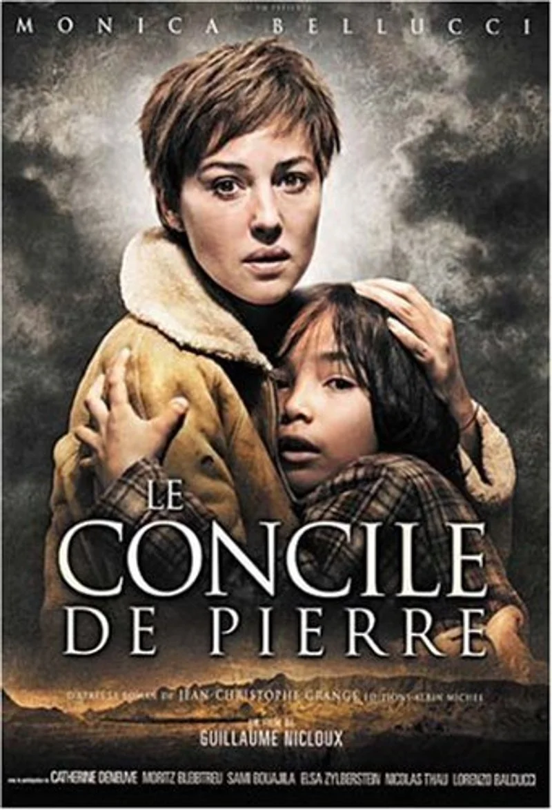 Poster van The Stone Council