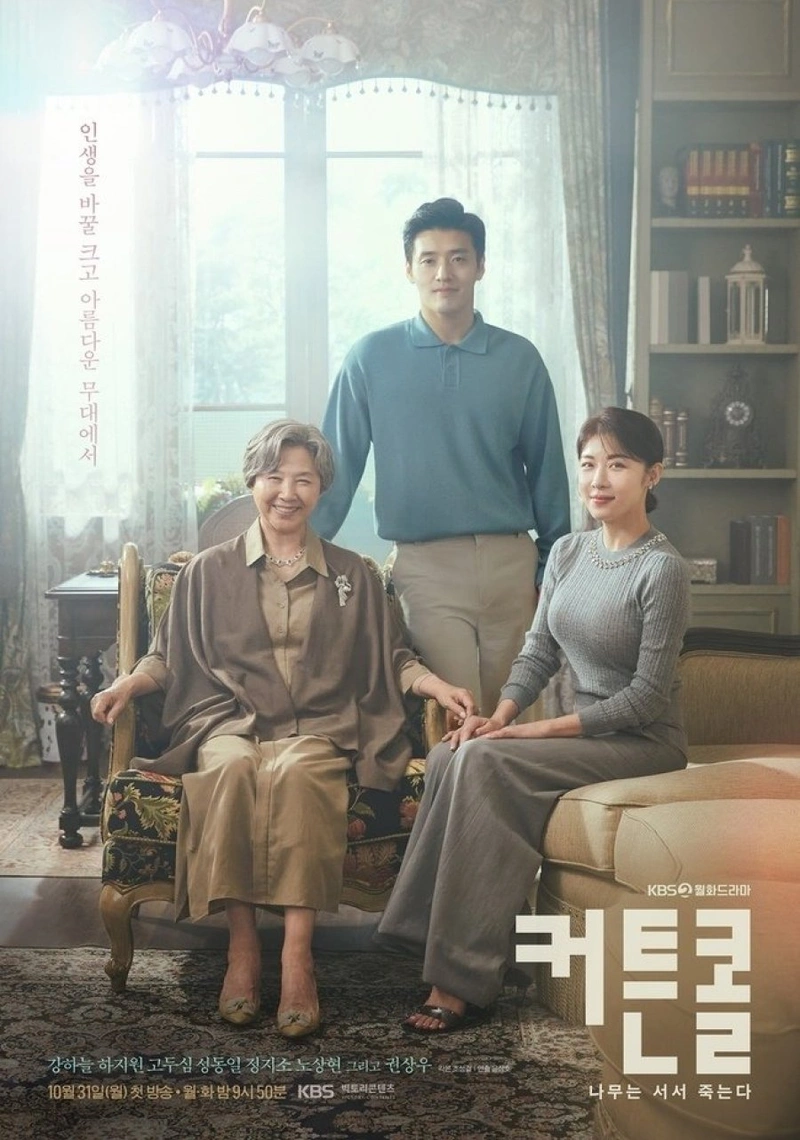 Affiche de Curtain Call
