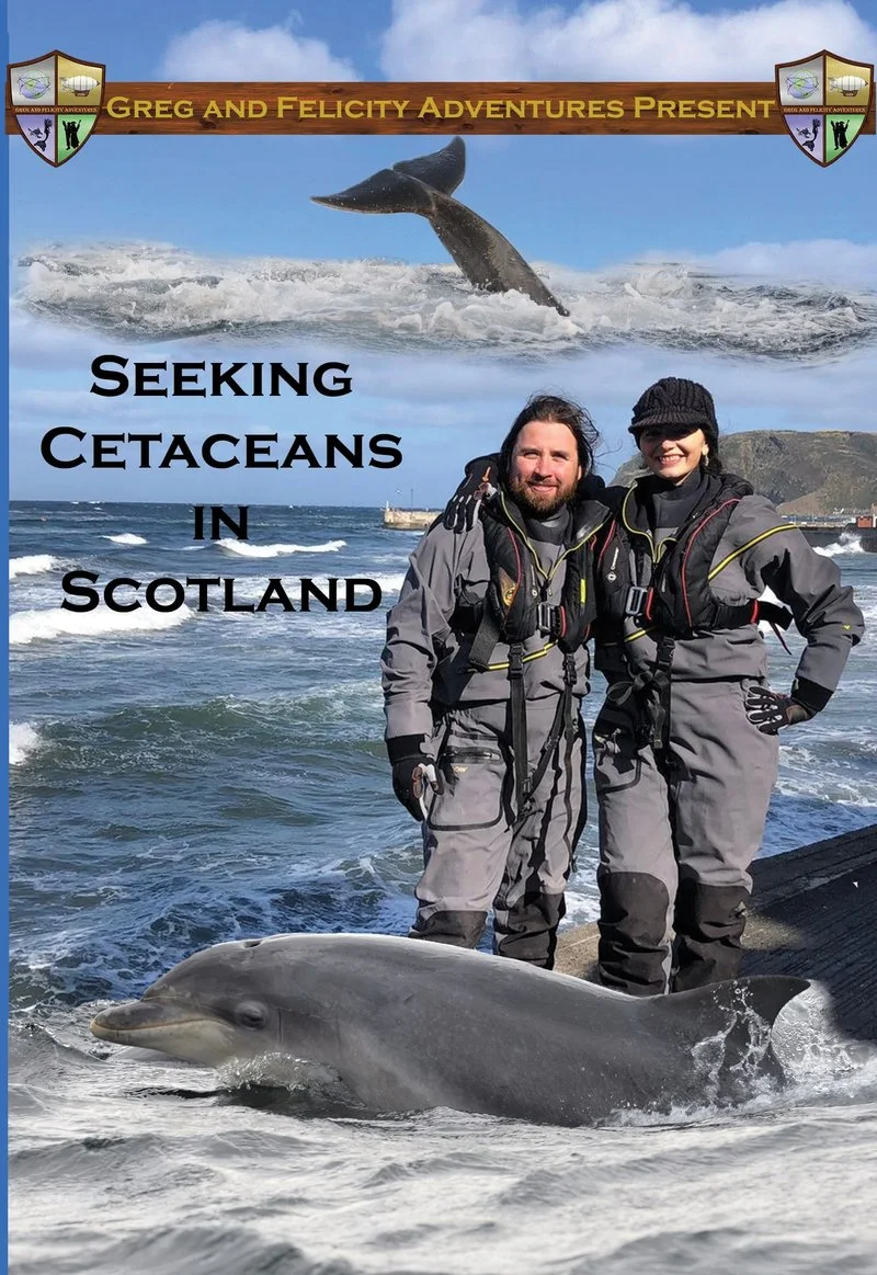 Poster van Seeking Cetaceans in Scotland